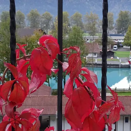 Apartment Brienzstrasse 30 Interlaken